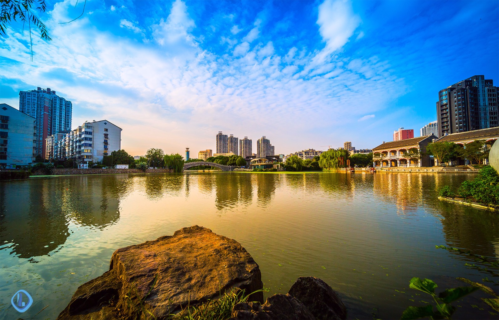 夏日里的无锡古运河风景依旧美好