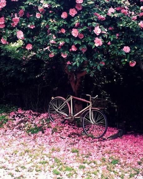 准备结婚,男友是宝妈男我该怎么办?