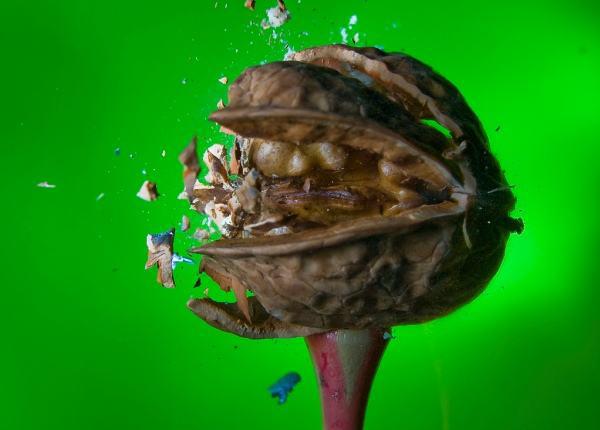 用锤子和钉子敲击底火就的能击发子弹?能,但是很危险!