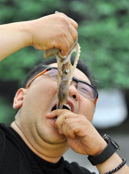 韩国人生吞活章鱼, 平均每年有6人, 因食用活章鱼而窒息死亡!