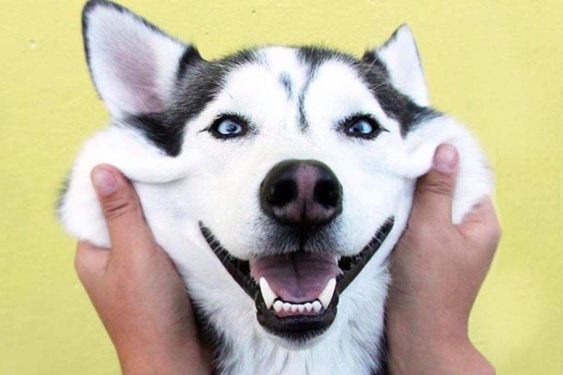 只因太自信,父亲千万遗产,最后面临被姑姑借刀夺走的危机