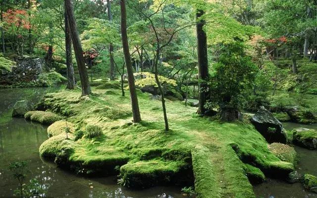 日本最难进的寺庙:门票高达3000日元!进去之前还得抄《心经》?