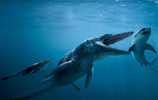 灭绝的巨兽—沧龙