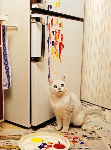 艺术喵 67676767艺术喵 67676767艺术