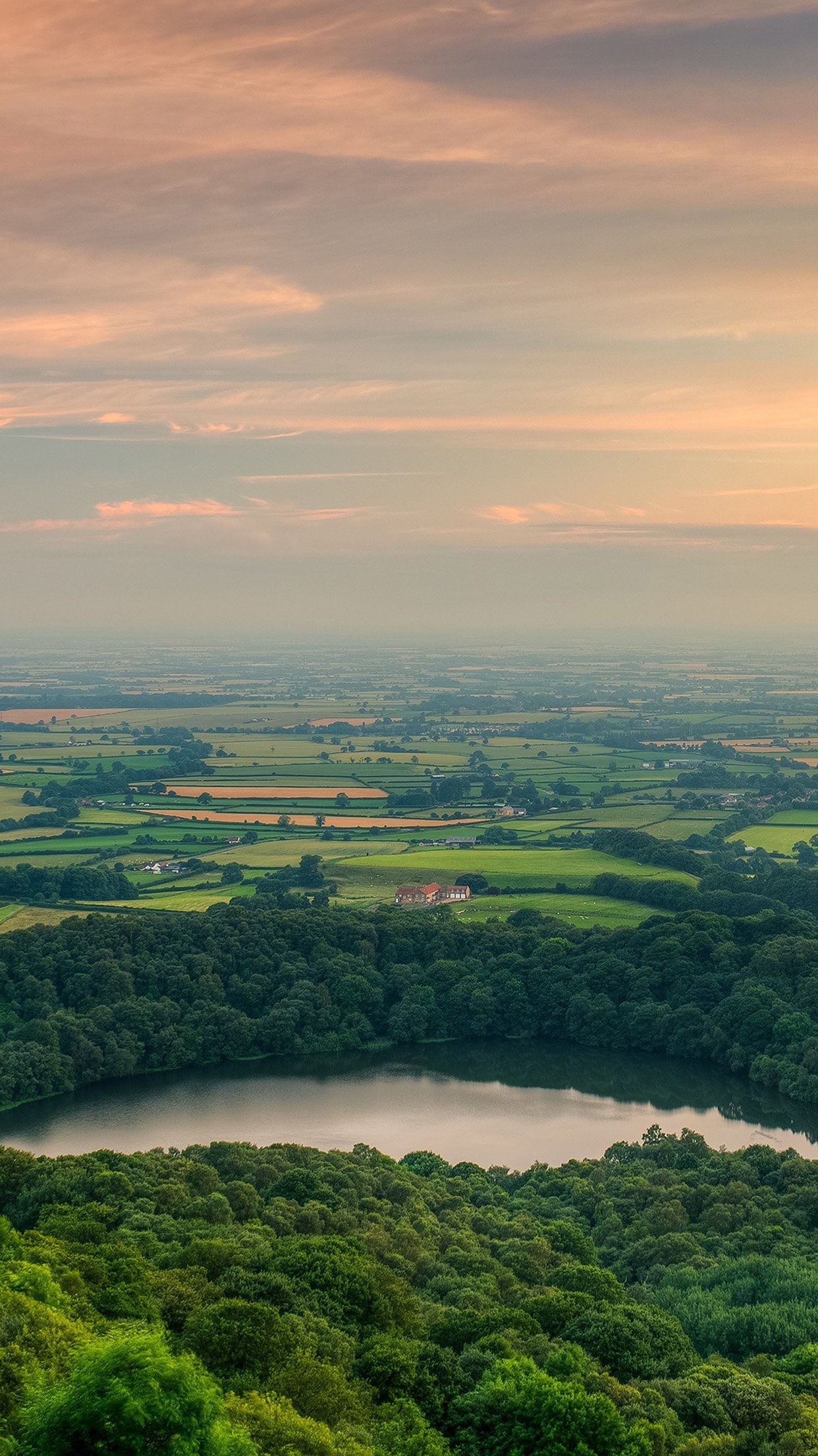 绿色丨系列壁纸右下角阅_新浪看点