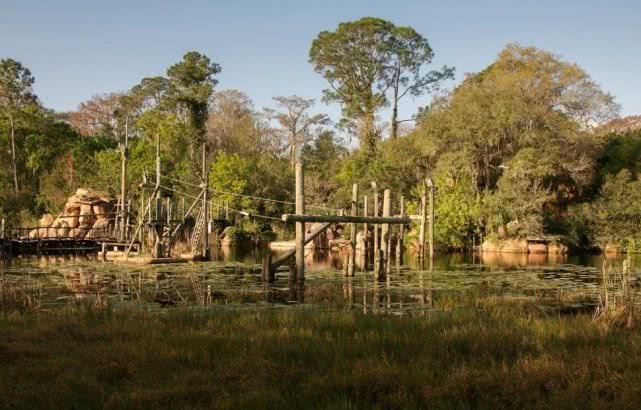 因为物种入侵,这座迪士尼水上乐园变成奇幻密境