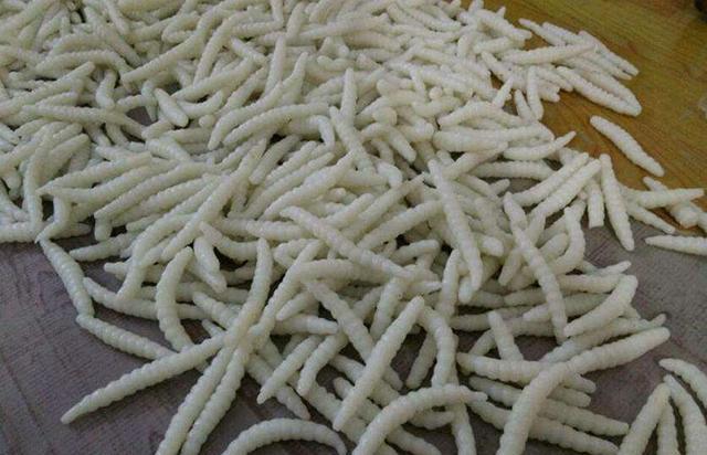 粉虫:百年传承,永存心间,老南宁人最美味的记忆