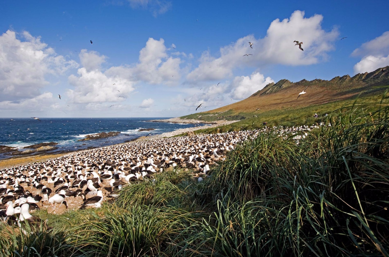 世界旅行图志之拉丁美洲:既是足球圣地也是旅游天堂