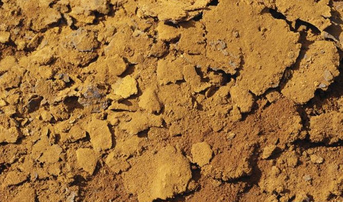 哪个比较舒服?看看古代擦屁股方法多多