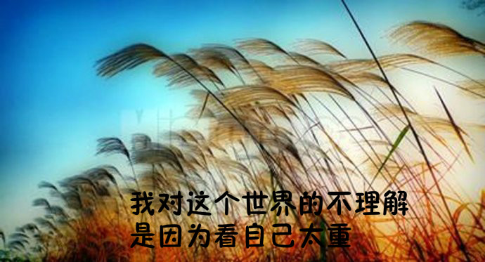 因为没有,从不担心失去;因为想要,才会患得患失