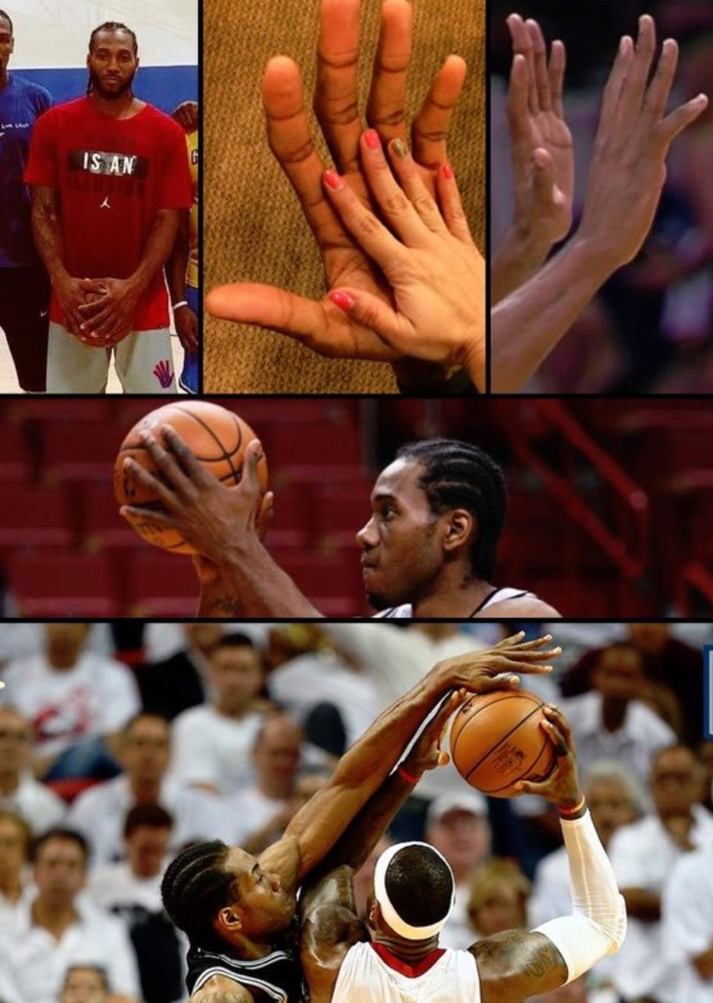 猛龙官方晒伦纳德的大手,恐怖.