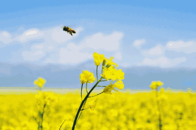 章安刚上过央视,一帮小后生又要搞事情啦!还有大奖正砸向你!