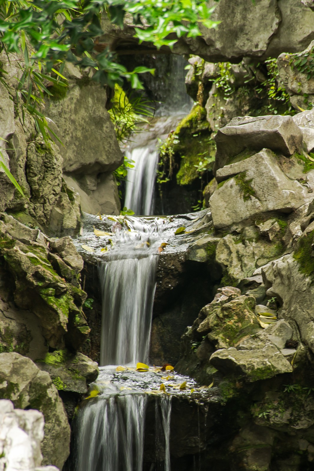 苏州园林狮子林