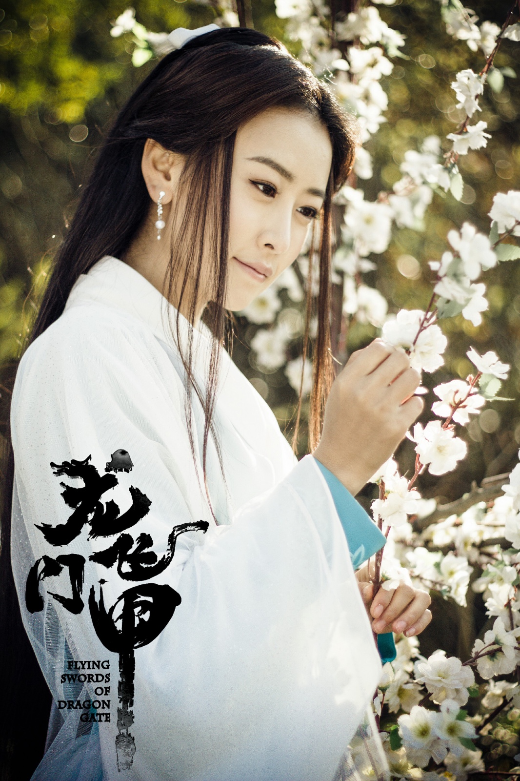 《龙门飞甲》收官 毛俊杰一人饰两角获好评|毛俊杰|龙门飞甲|角_新浪