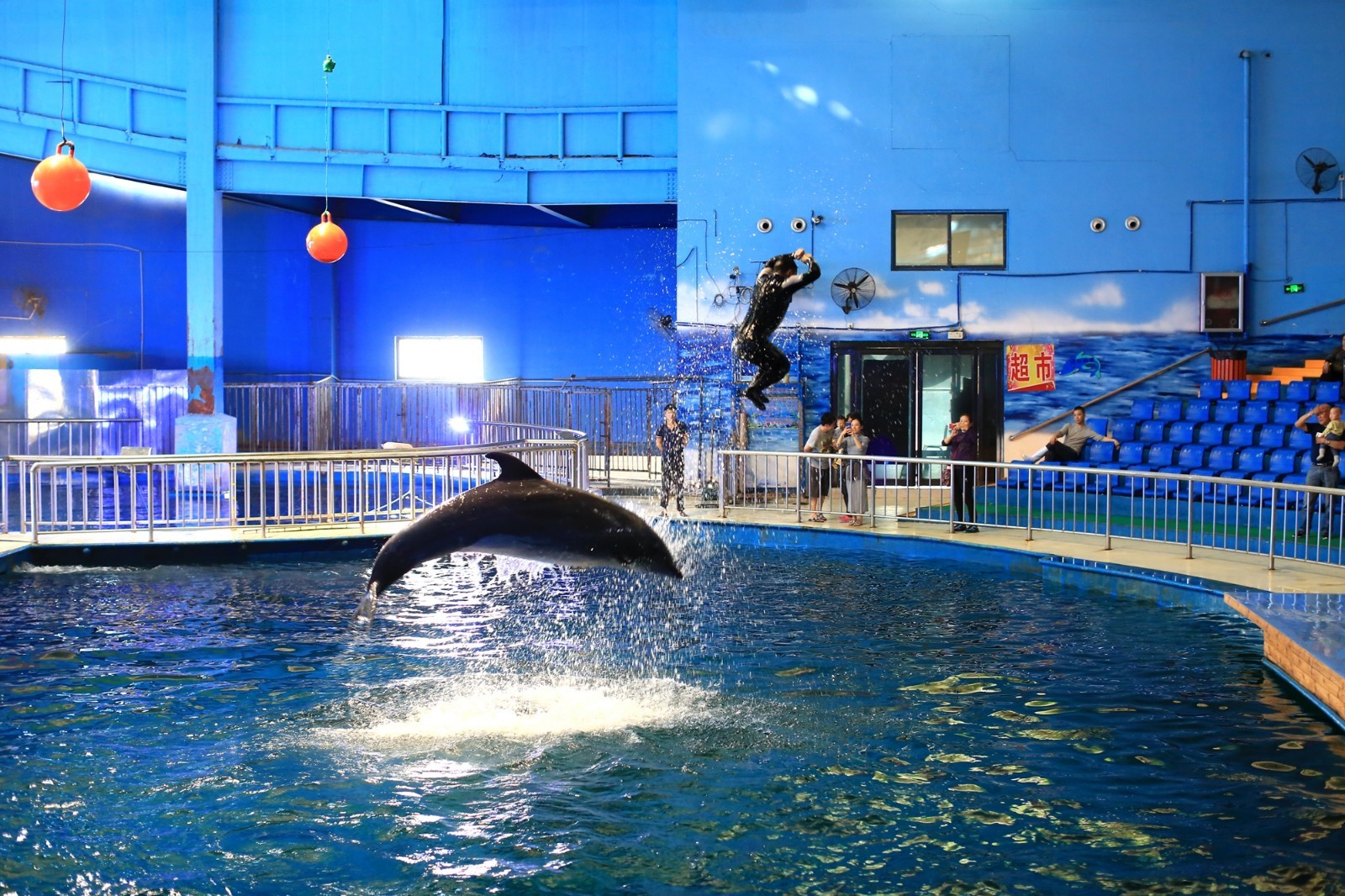 清明小长假 带着孩子来开封极地海洋馆和动物亲密接触!