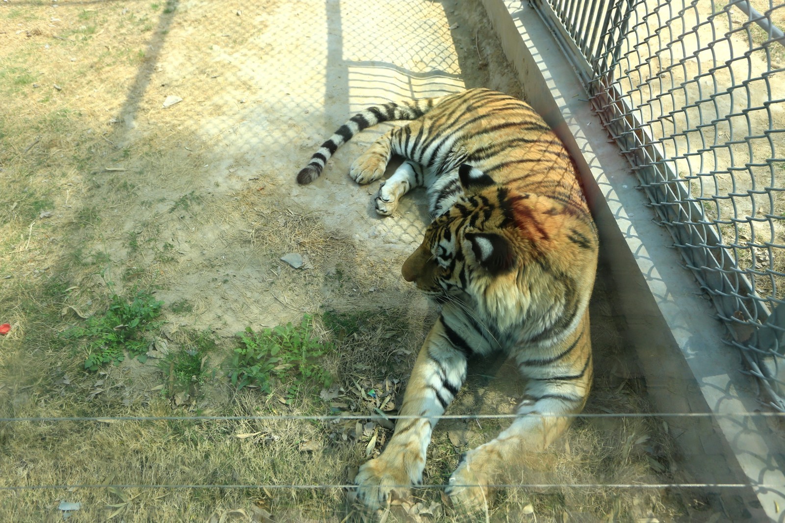 清明小长假 带着孩子来开封极地海洋馆和动物亲密接触!