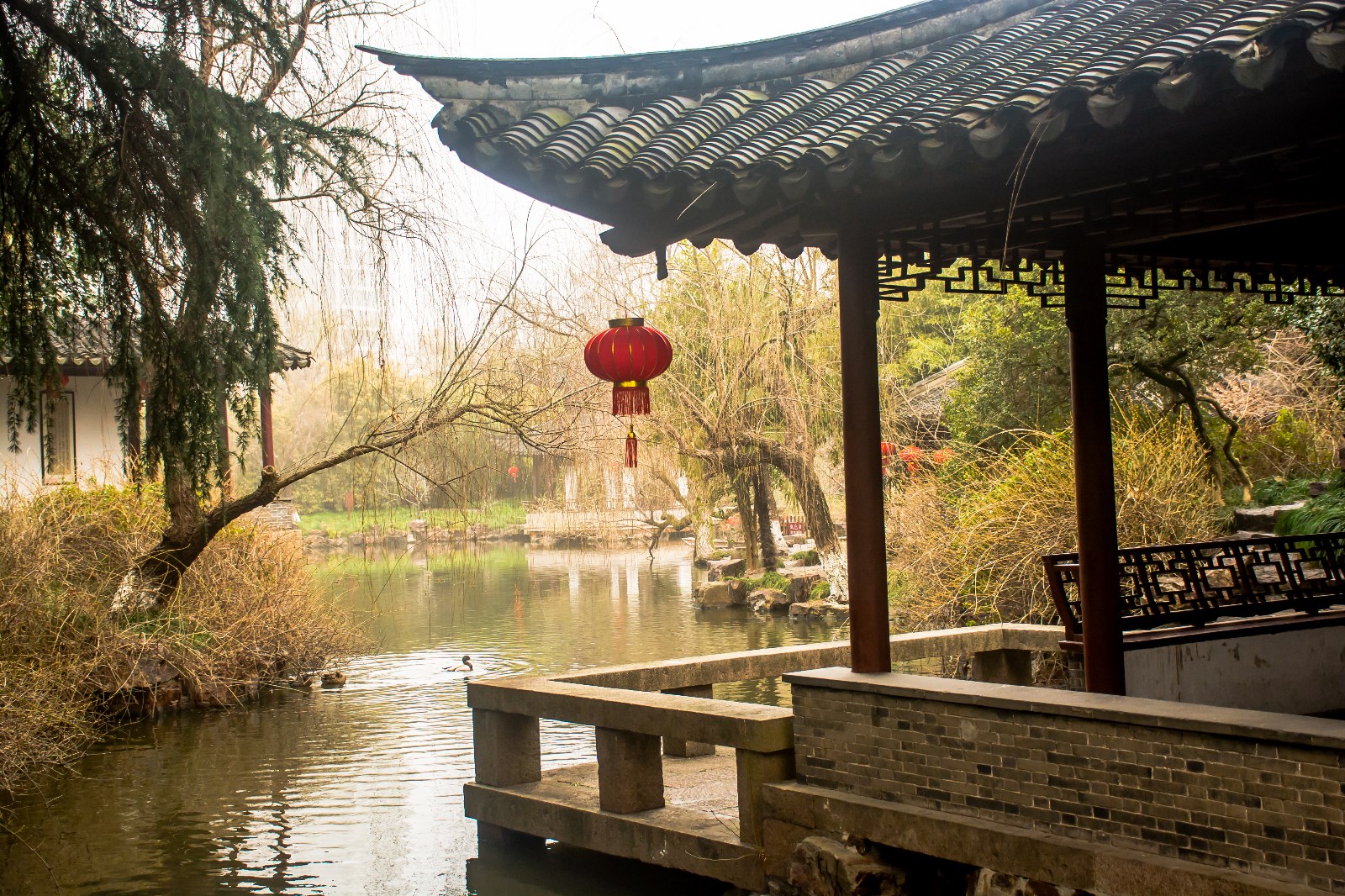 如皋名园——水绘园|如皋|水绘园|秦淮_新浪新闻