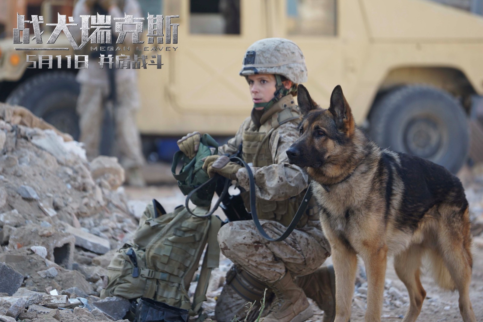 影片早在超前看片时,就因其中关于退役军犬命运的话题引发了广泛讨论.