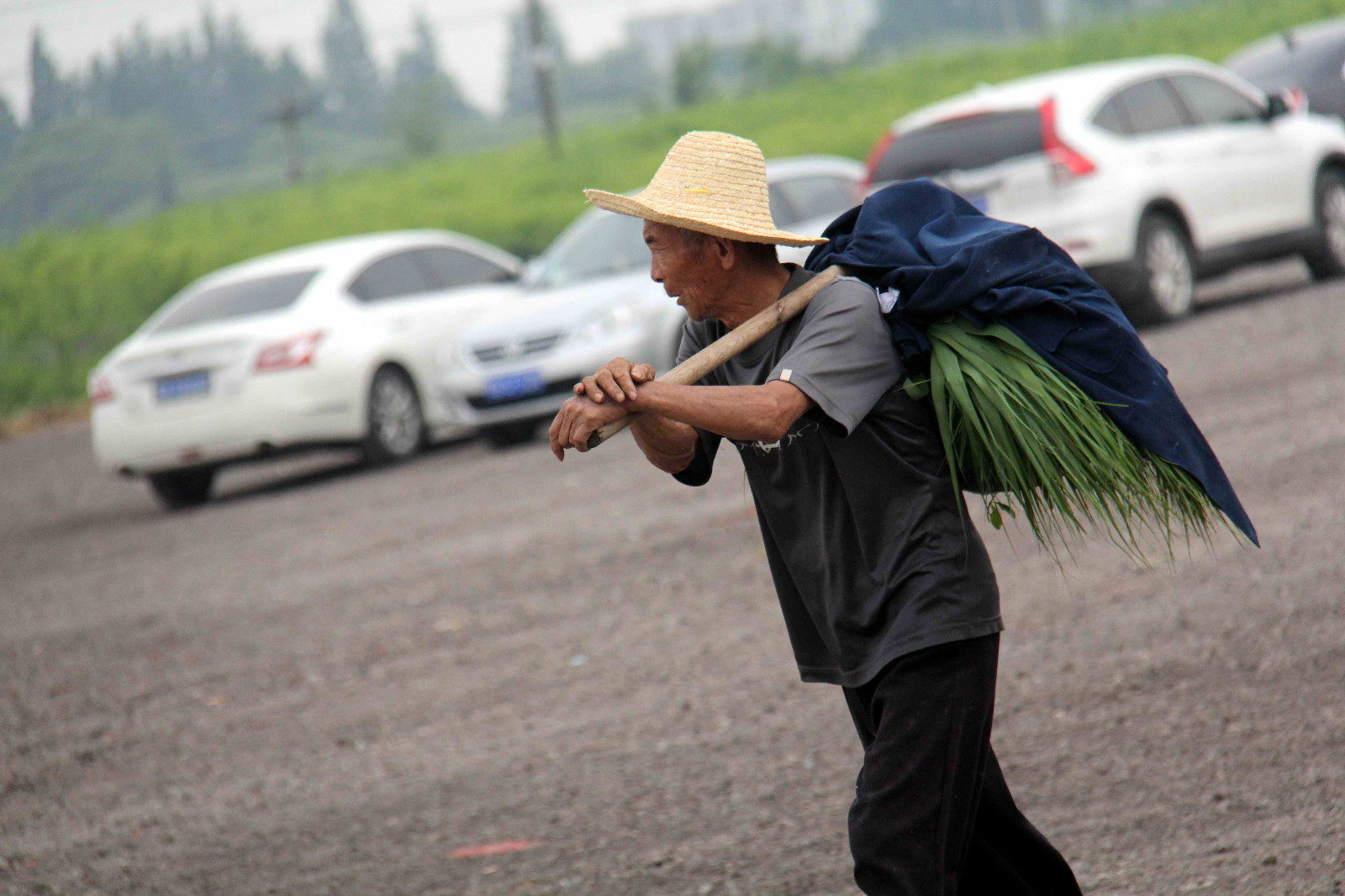 为了肩上这包值钱的好东西,82岁农家大爷天不亮去忙活了半天_新浪看点