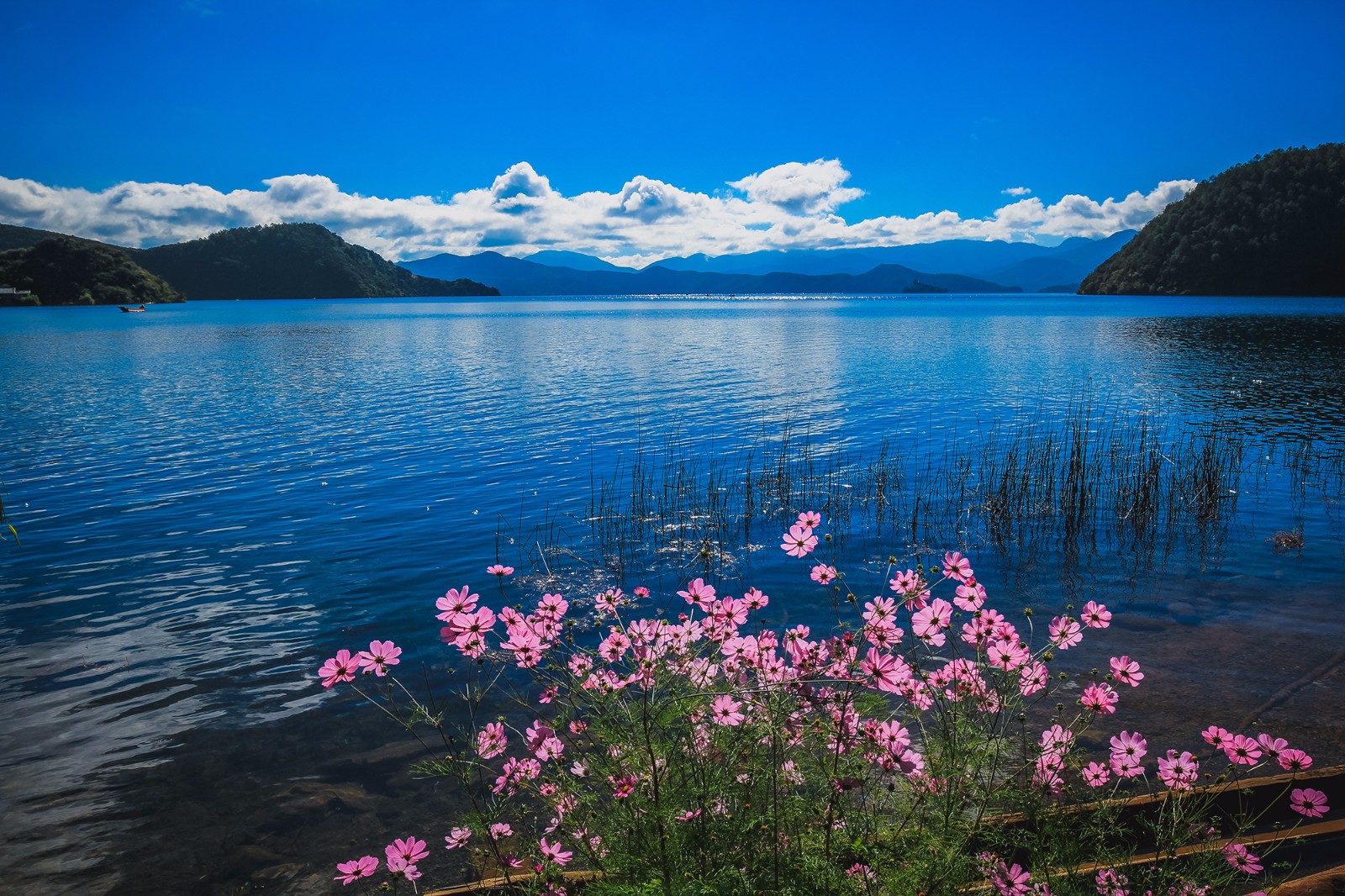 蓝色的泸沽湖,位于四川云南交界处,风景如画.