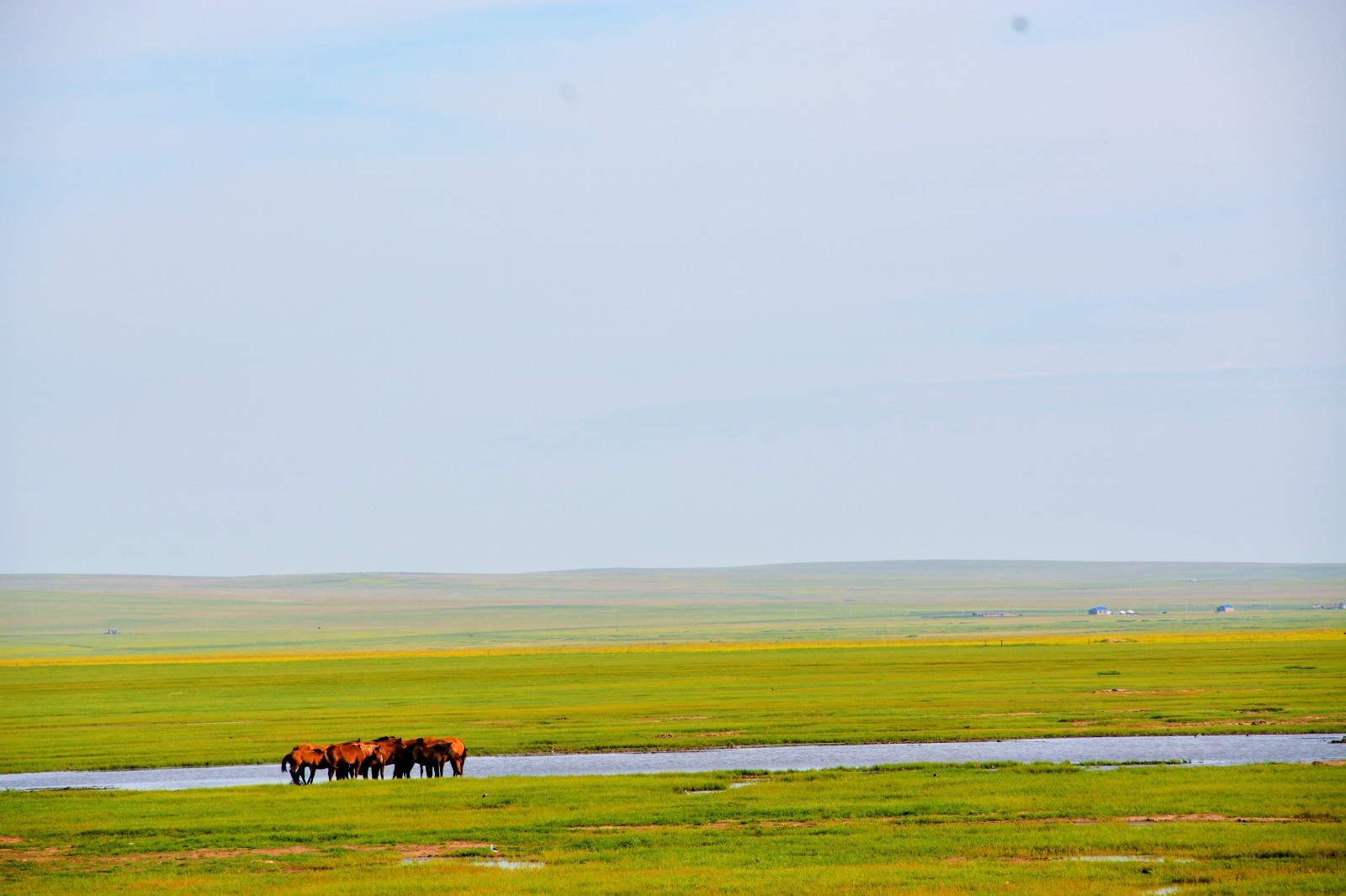 你的心中,一定要有一片草原.呼伦贝尔西乌珠尔【原创摄影】