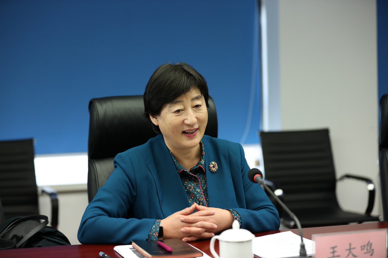 致公党辽宁省委主委王大鸣到沈抚新区调研