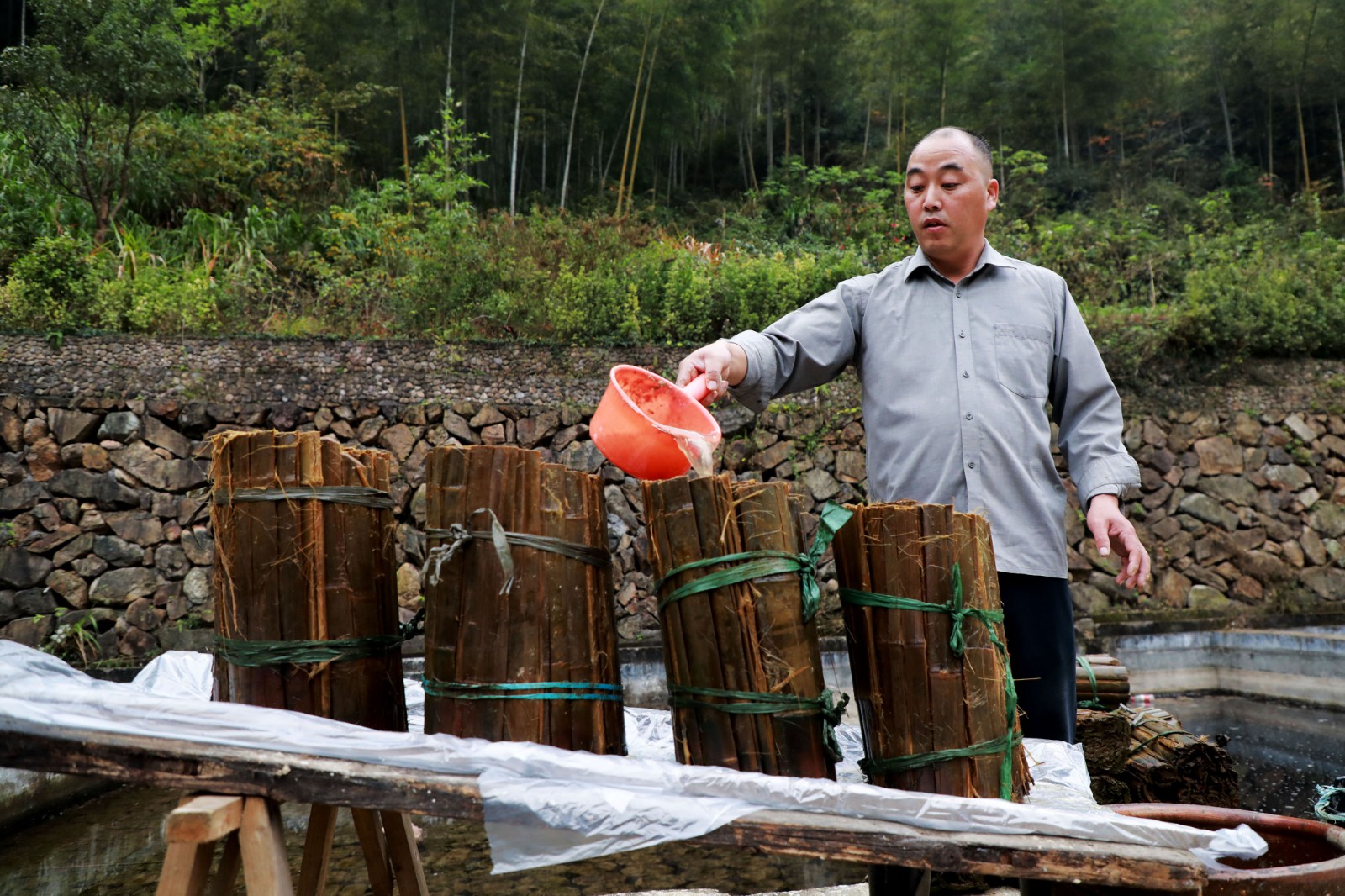 天猫双11预定量飙升 古法竹纸手艺人贴告示求童子尿 一桶200元