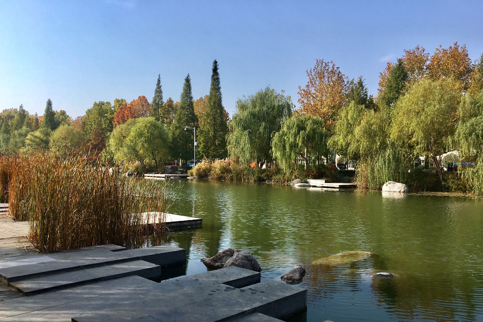 【行摄校园】郑州大学 眉湖秋色