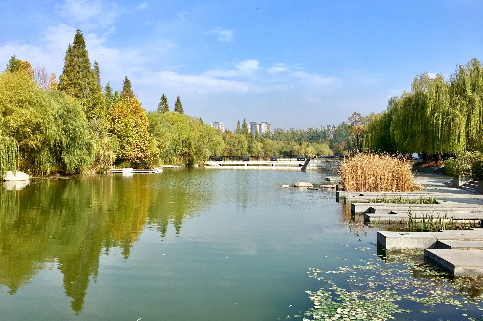 【行摄校园】郑州大学 眉湖秋色