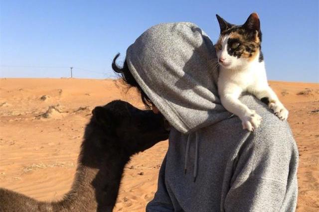 还以为是人与自然的和谐场景,结果……猫:松开朕的尾巴!