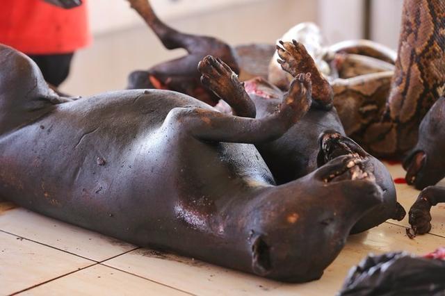 烤老鼠~烤老鼠~就在肉类区的旁边有一排狗笼子,里面有许多狗狗,顾客