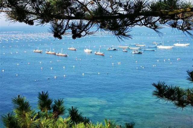 大连农家院旅游獐子岛英辉365渔家院有静谧的海滩美丽的渔港