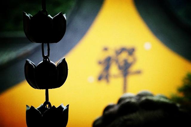 历史上那些高僧的开悟都很神秘吗?一文读懂何谓“开悟”|佛教|铃木|事物|觉悟|尼连禅河_新浪新闻