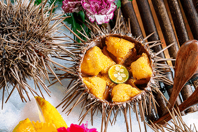 开在五大道上的炉端烧专门店,每天都在上演全球"蚝门盛宴"|海胆|生蚝