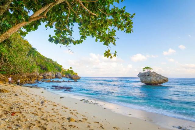 西澳圣诞岛一处充满原始气息的海岛红螃蟹大迁徙是这里最佳亮点|红螃