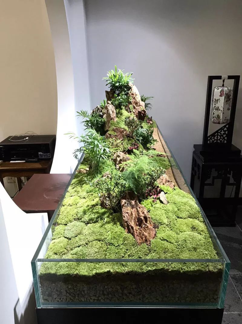 家居水景丨适合中式家居风格的造景,1.8米旱景矮缸