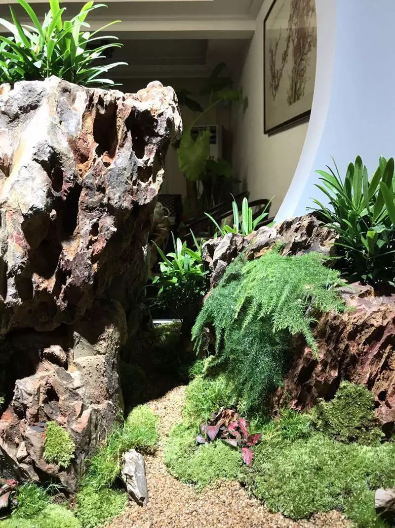 家居水景丨适合中式家居风格的造景,1.8米旱景矮缸