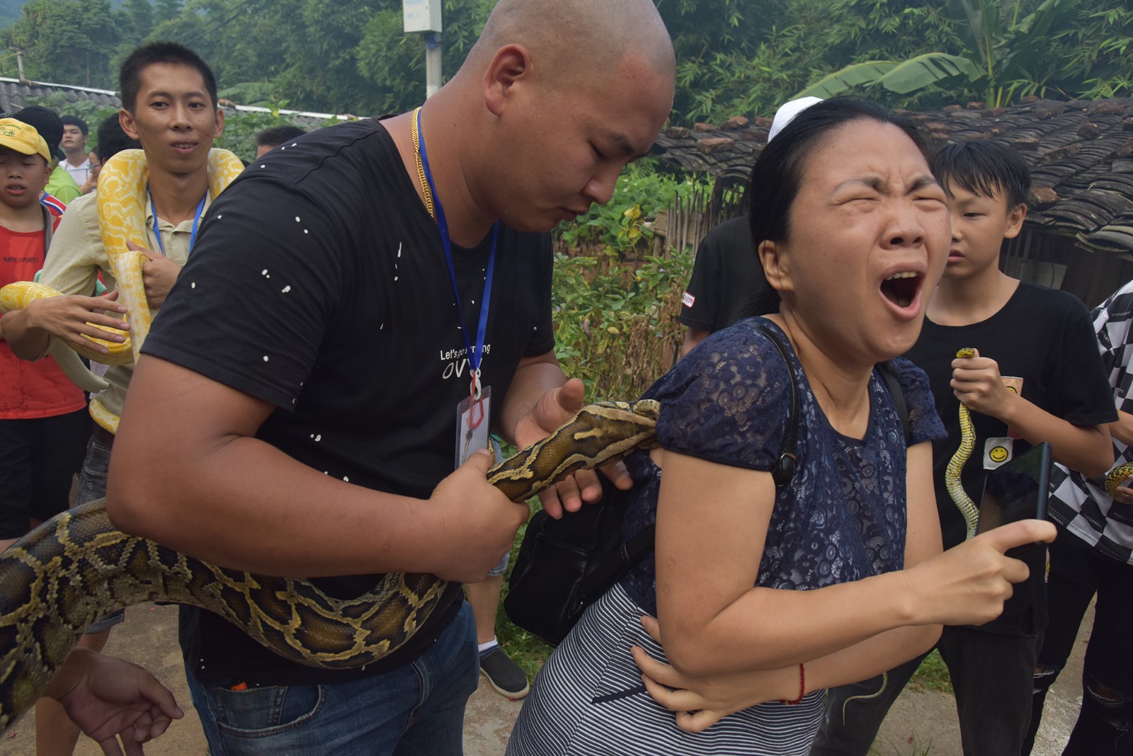 福建百蛇游街,美女被巨蟒撕咬,却被劝告"会交好运"|蛇王|樟湖镇|巨蟒