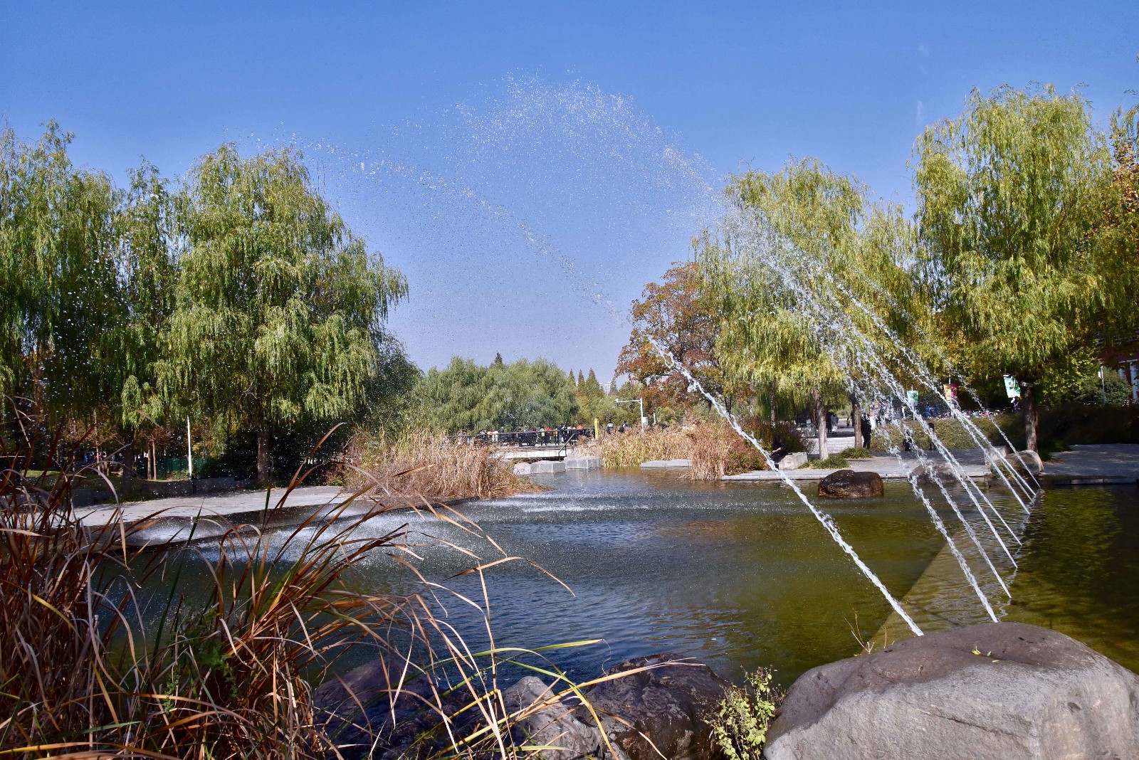 【行摄校园】郑州大学 眉湖秋色