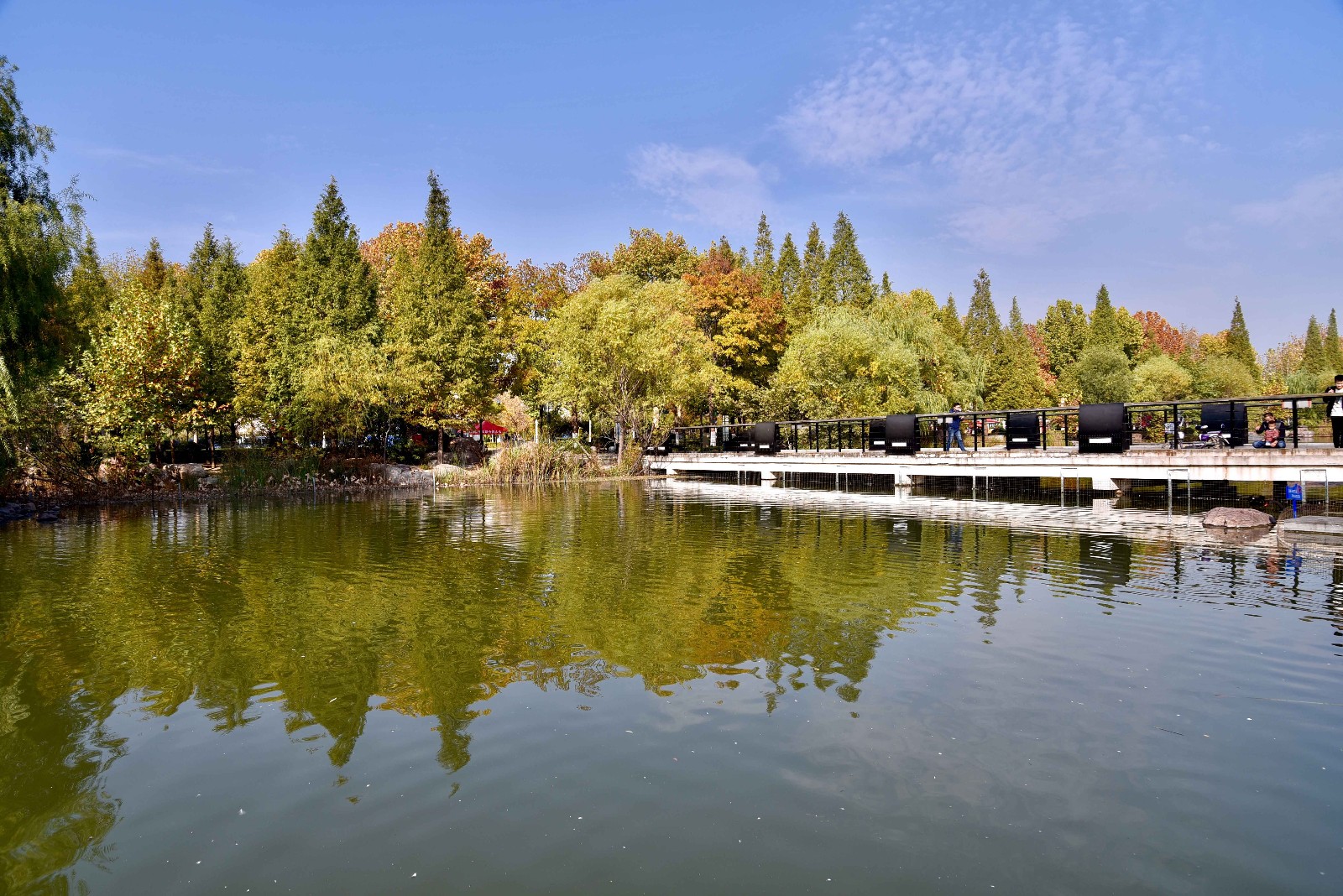 【行摄校园】郑州大学 眉湖秋色