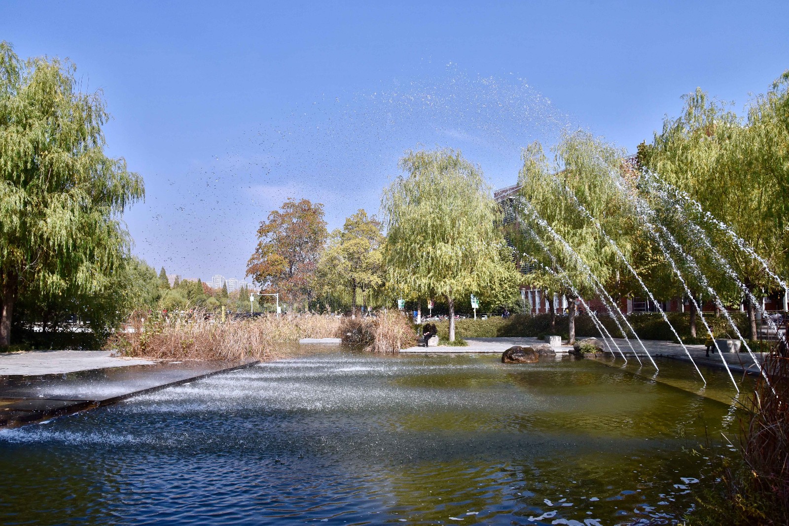 【行摄校园】郑州大学 眉湖秋色