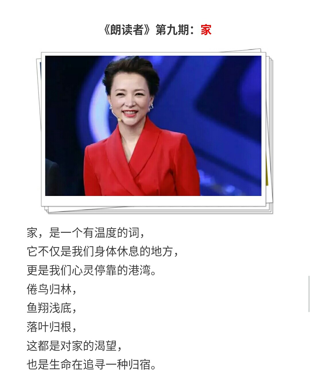 董卿朗读者经典语录句句值得品读