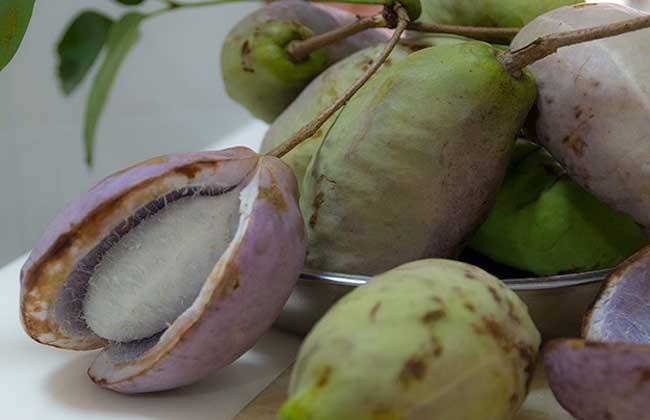 对身体最好的野果,如此搭配每天吃三个,降低血压,促进心脏健康