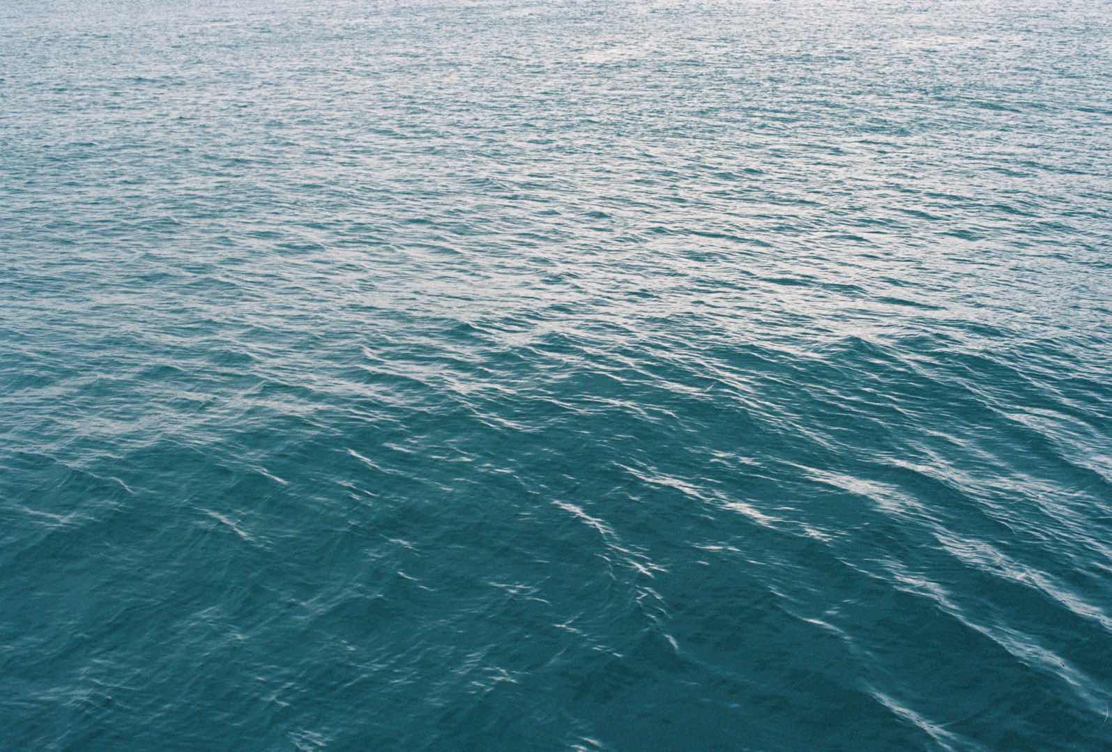 摄友相机尼康f3蔡司5014胶卷爱克发200业余100