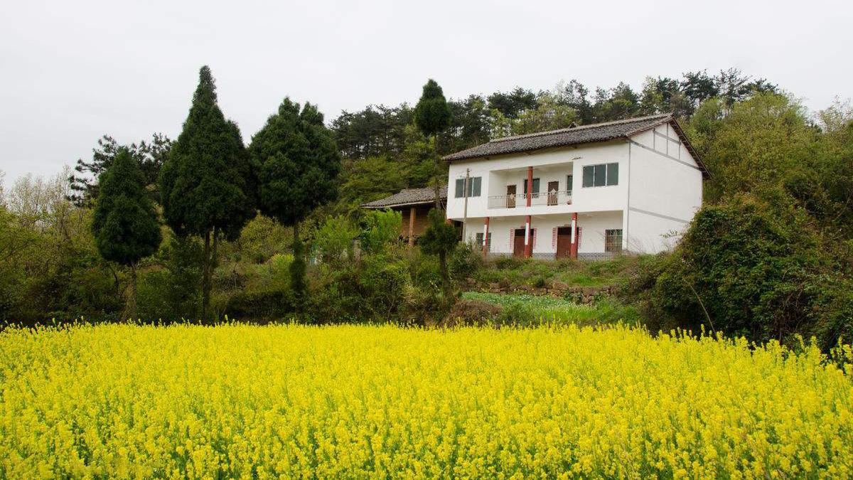 很多人不在农村住了,为什么还要在老家盖一栋房子?