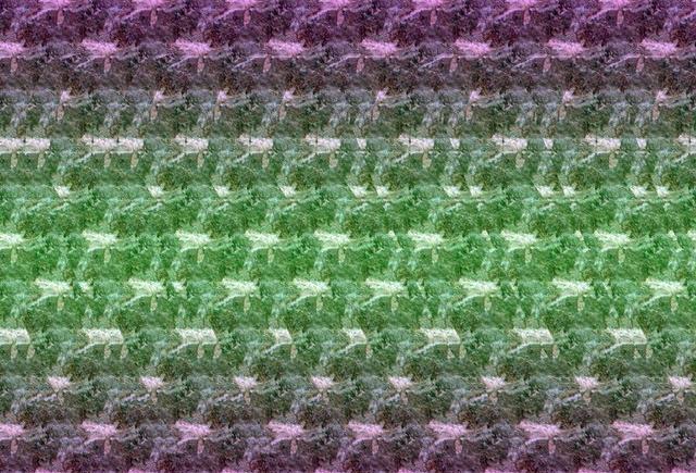 奇幻三维立体画“最新深度看法6层次”, 你能看到第几层?|立体画|深度|层次|视觉|看法_新浪新闻