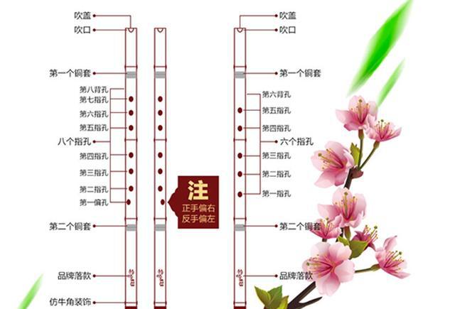 零基础学民族乐器选笛子和箫哪个好