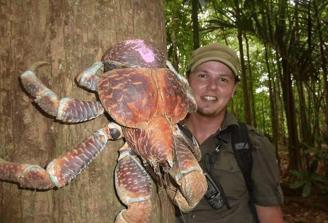 盘点全球15种外形最奇特恐怖的动物快来涨姿势