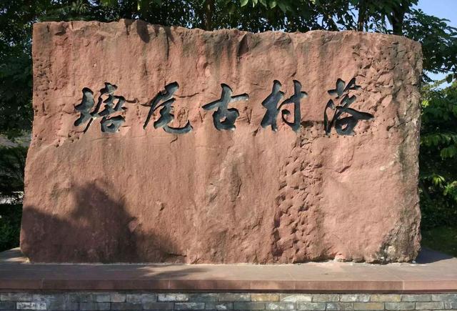 seo新手必看seo技术运营