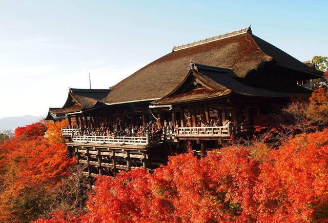 在京都地区,最先见到红叶的,应该算是高雄山神护寺和锹山神社了.